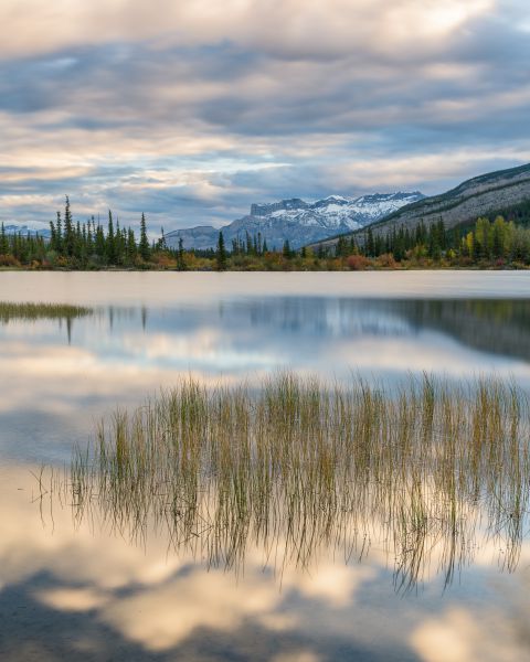 Reflecties in Jasper lake