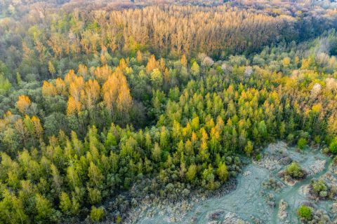 Bos 't Ename vanuit de lucht