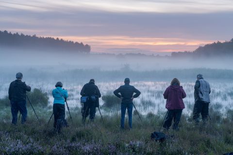 Fotografen in actie tijdens workshop