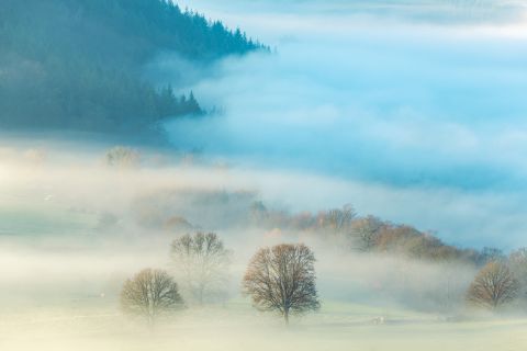 Misty valley | Bouillon, Luxembourg