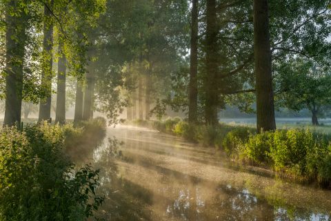 Lightscapes: het licht maakt de foto