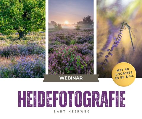 Webinar Heidefotografie