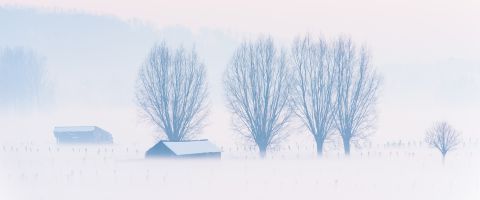 Grondmist op een winterse avond