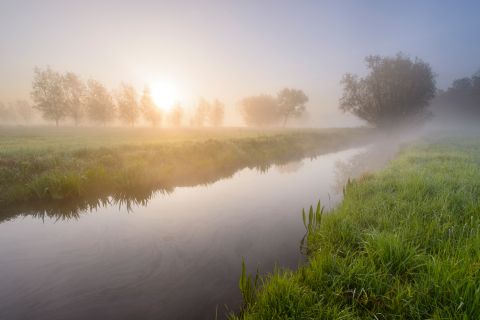 Beek in de Kalkense Meersen