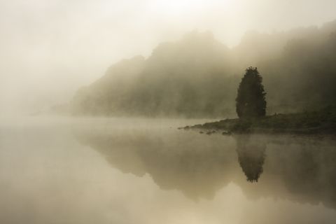 Misty lake at sunrise